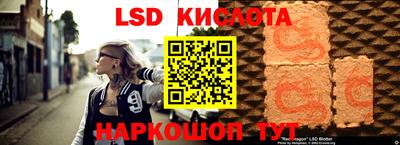 прущие грибы Гагарин