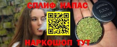 МДПВ Гай