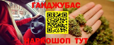 прущие грибы Гагарин