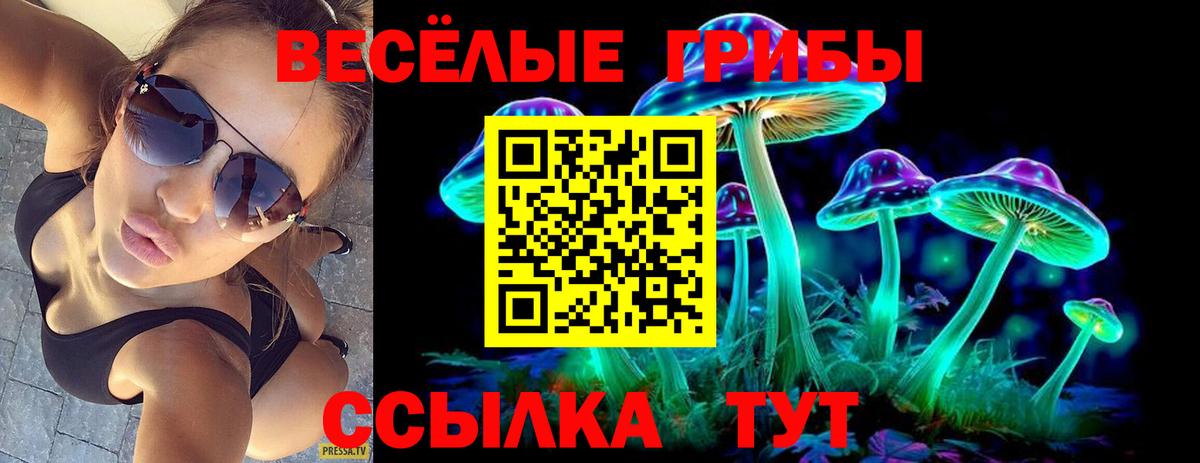 Галлюциногенные грибы мицелий  Вход с VPN  купить   Галлюциногенные грибы мицелий  Мурманск 